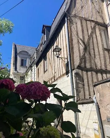 Typique Au Coeur Du Vieux Daire Tours
