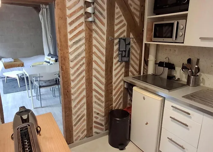 Typique Au Coeur Du Vieux Apartament Tours