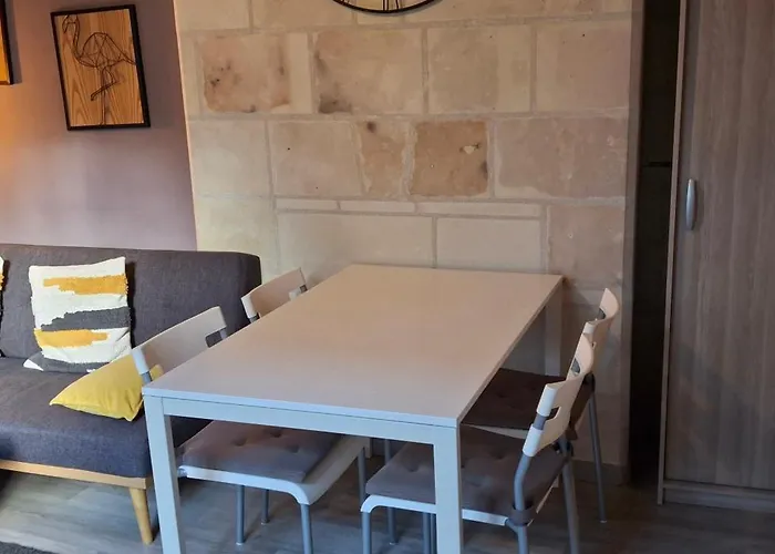 Typique Au Coeur Du Vieux Tours