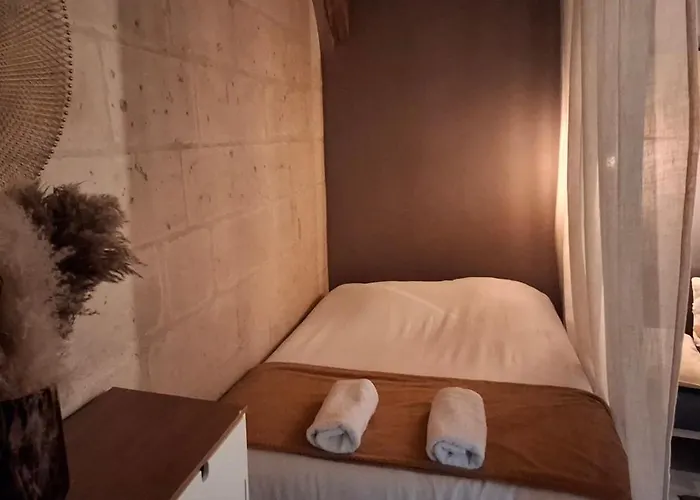 Typique Au Coeur Du Vieux Daire Tours